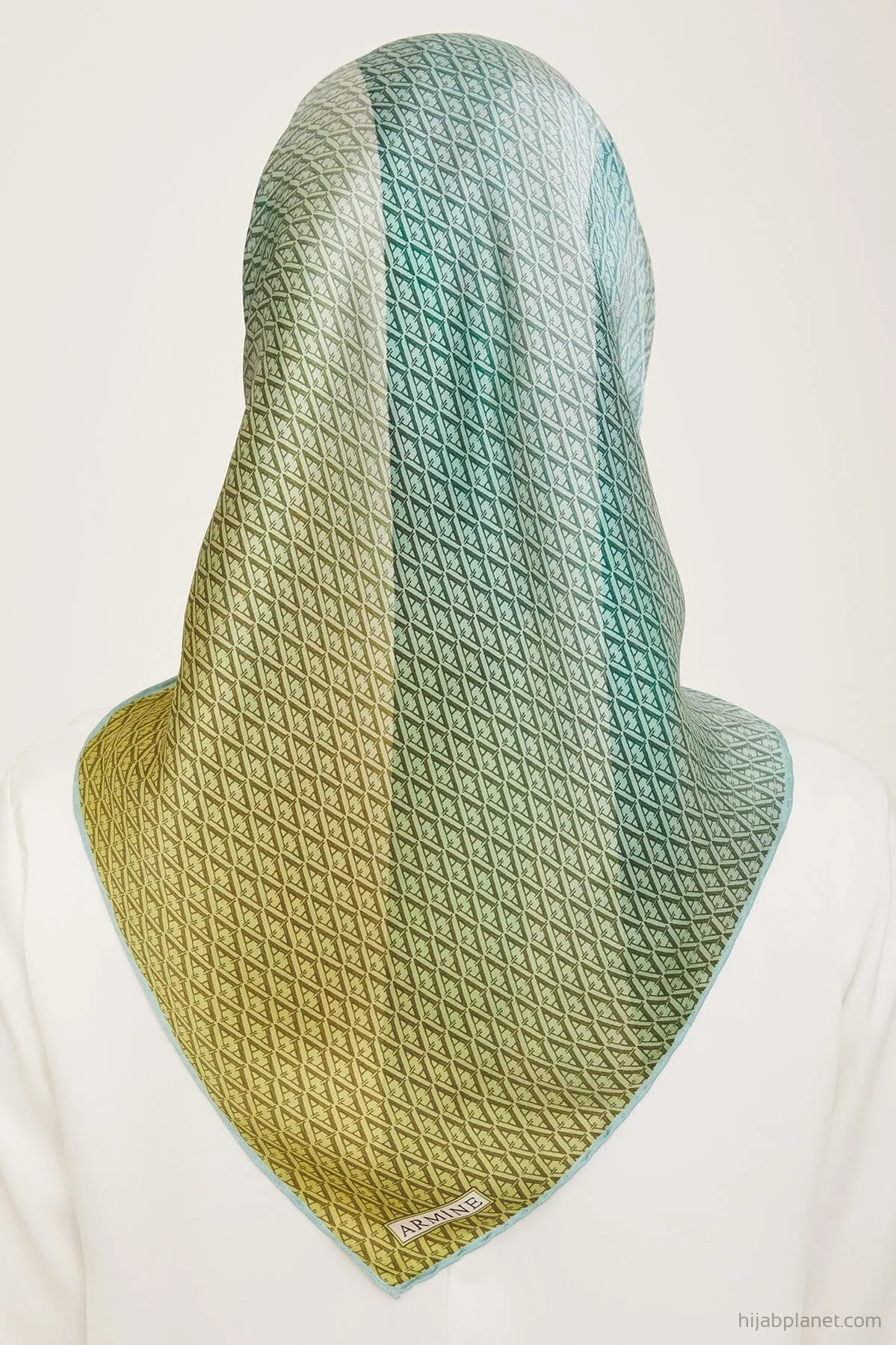 Armine Hathway Women Silk Scarf #84