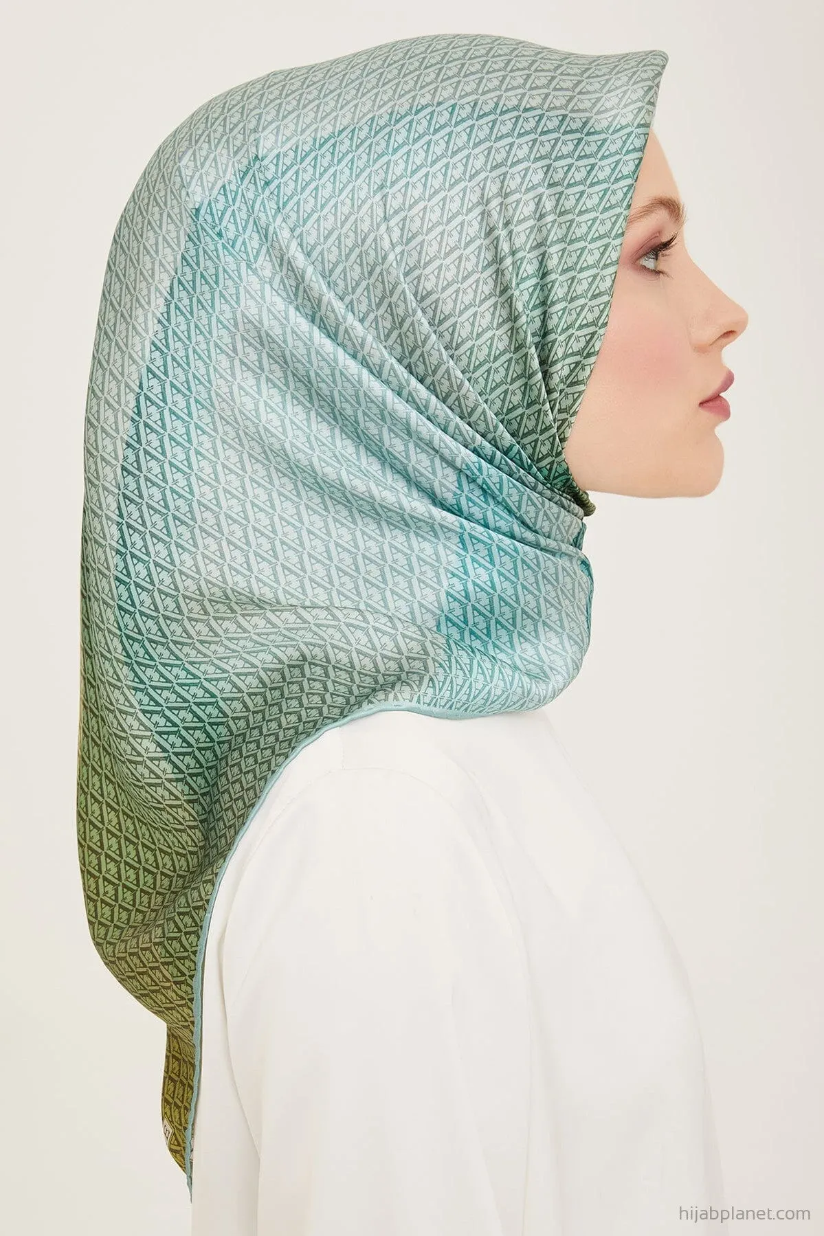 Armine Hathway Women Silk Scarf #84