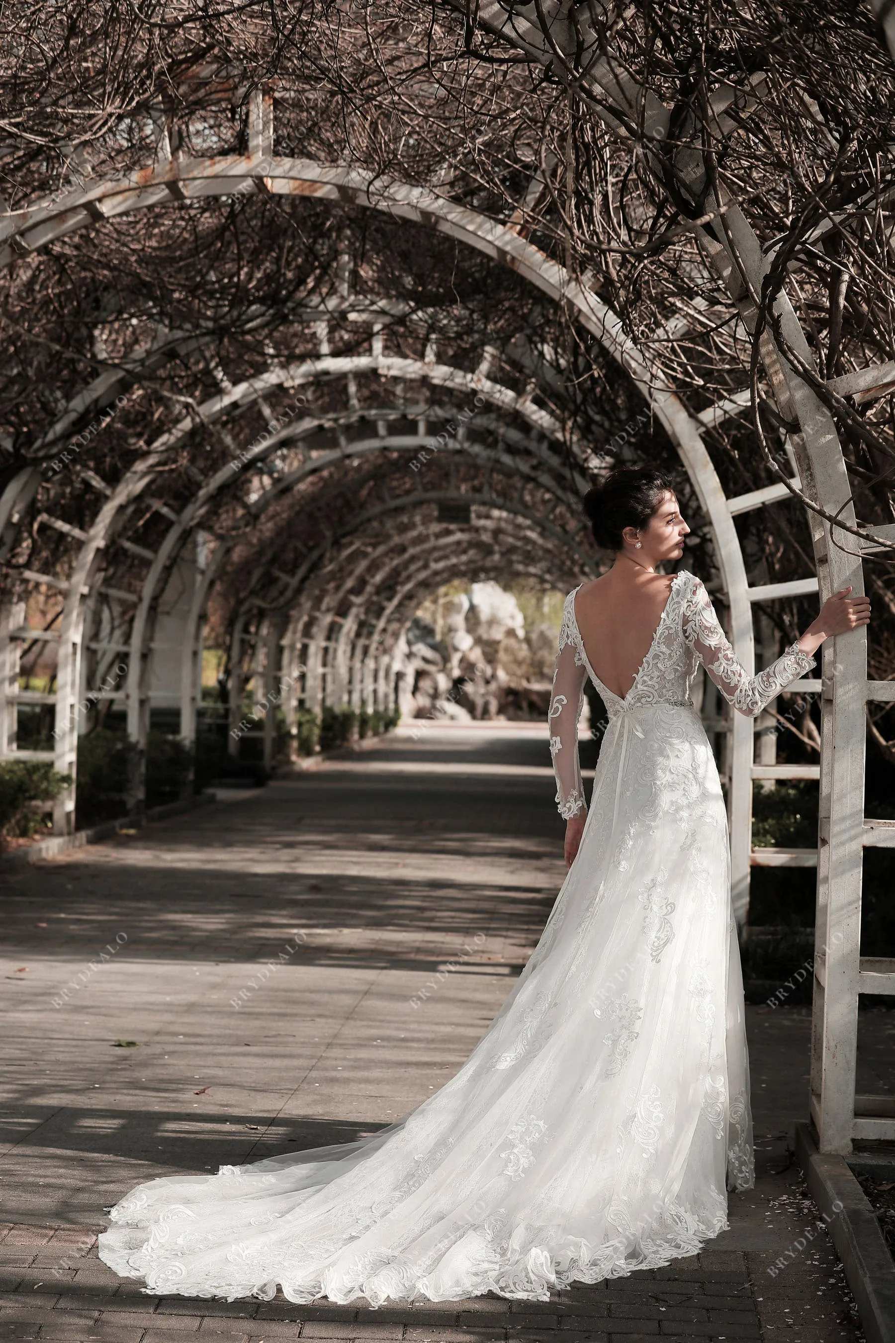 Sheer Sleeved Lace Plunging Neck Charming Fit and Flare Bridal Dress